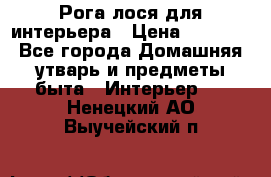 Рога лося для интерьера › Цена ­ 3 300 - Все города Домашняя утварь и предметы быта » Интерьер   . Ненецкий АО,Выучейский п.